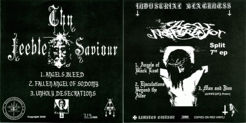 Thy Feeble Saviour : Industrial Blackness